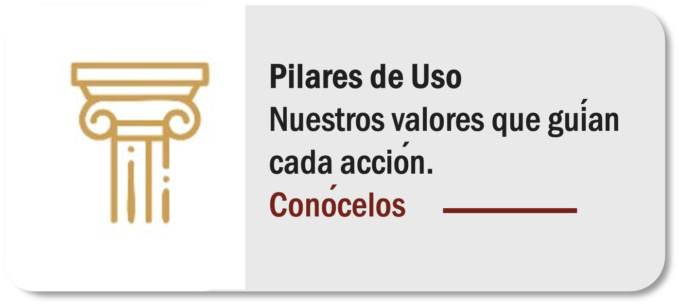 Pilares de uso